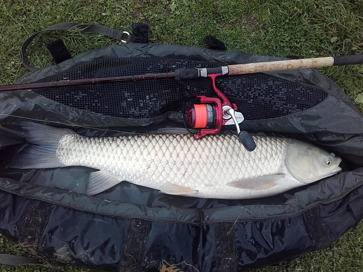 By Döme Team Feeder Long Cast 6500 - Slika 11